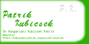 patrik kubicsek business card